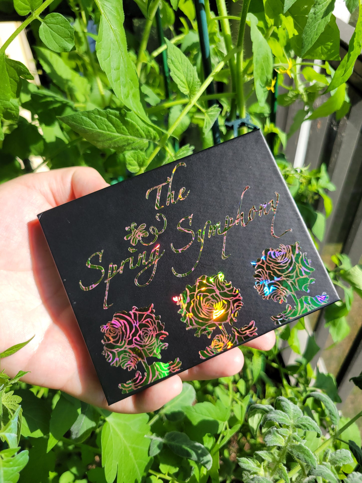 The Spring Symphony