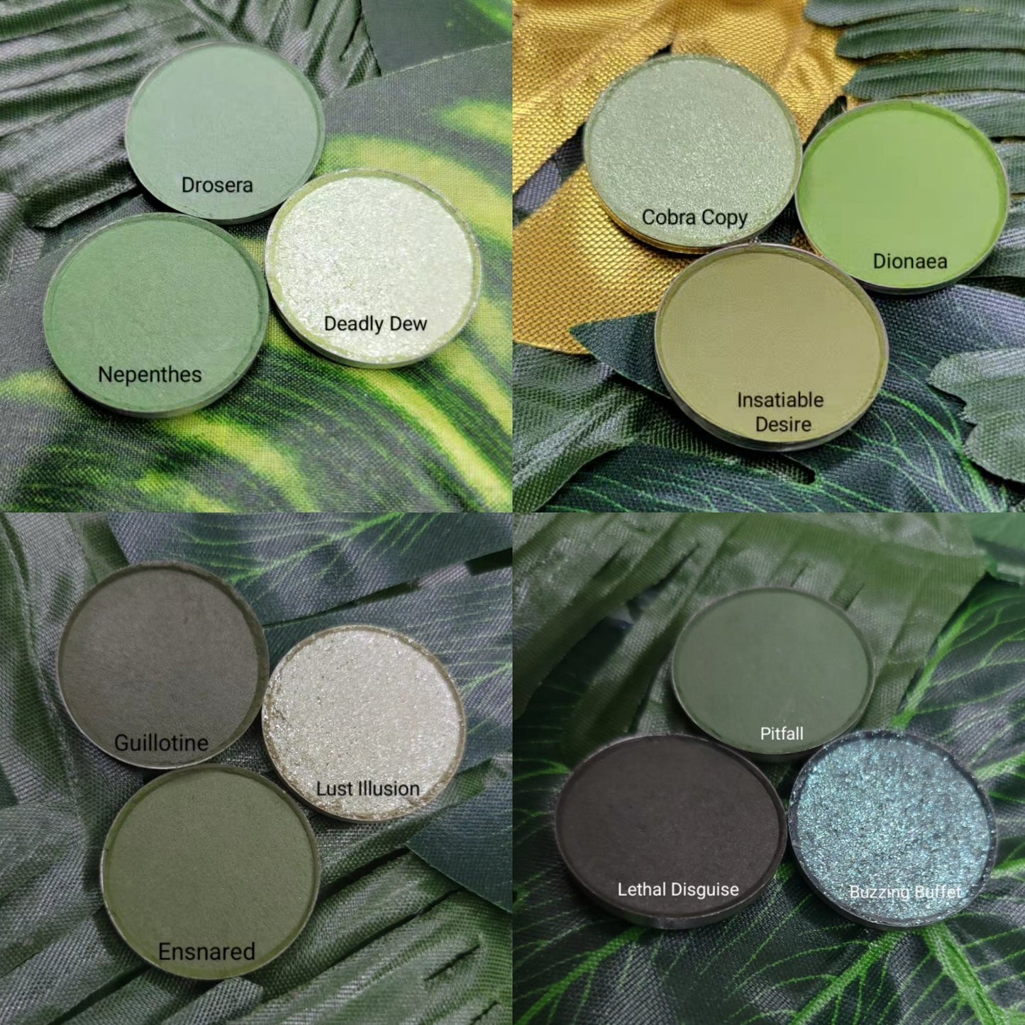Dionaea - Matte Yellow-Green