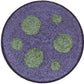 Noxious Mushroom Cap - Eyeshadow