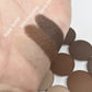 Milk Chocolate - Eyeshadow Matte Medium Brown