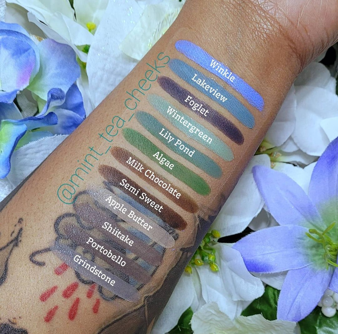 Lakeview Eyeshadow Matte Teal Dandy Lions Cosmetics